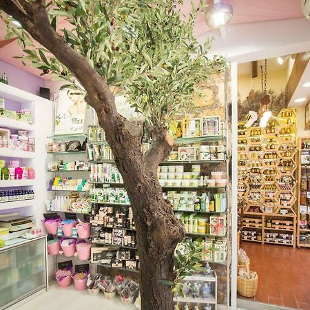 ハニア Mmebassia Bed & Breakfast エクステリア 写真